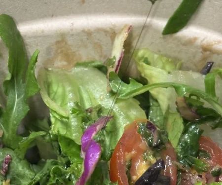 Chopt Creative Salad Co.