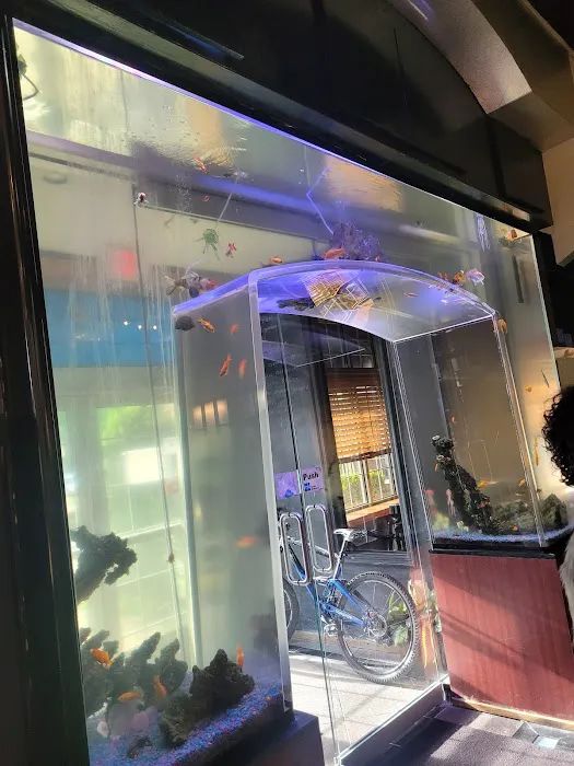 Akita Hibachi & Sushi Japanese Steakhouse Picture 5