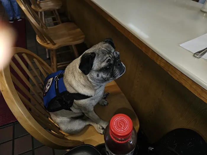 Early Bird Cafe Picture 7