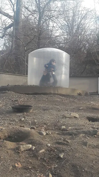 Rio Doce Luncheonette Picture 2