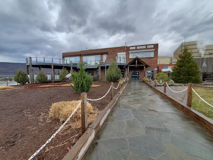 Fin & Brew Picture 6