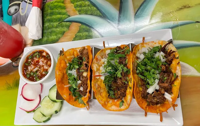 VIVA MEXICO Bar and restaurant Picture 9