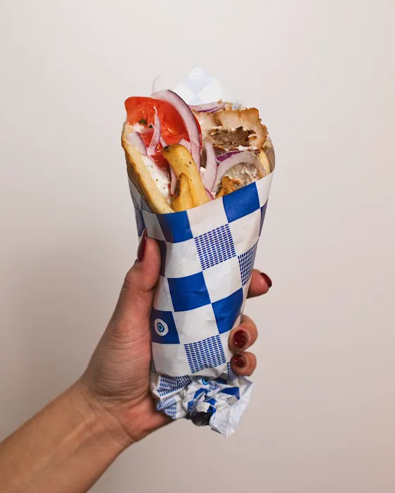 The Gyro Project Picture 8