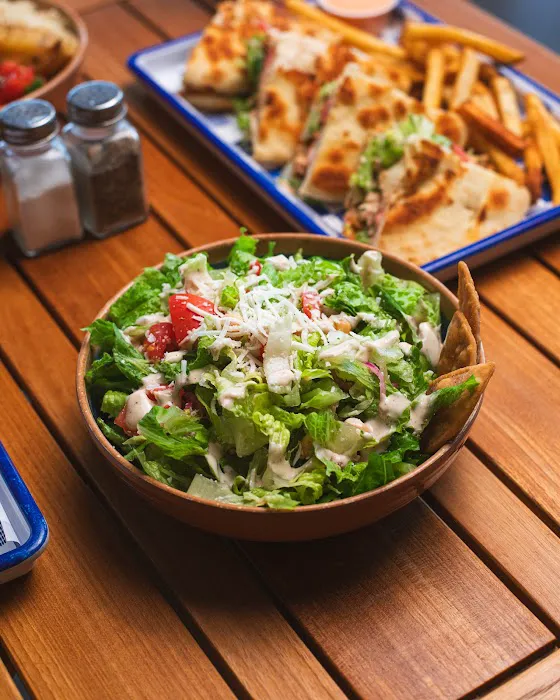 The Gyro Project Picture 10