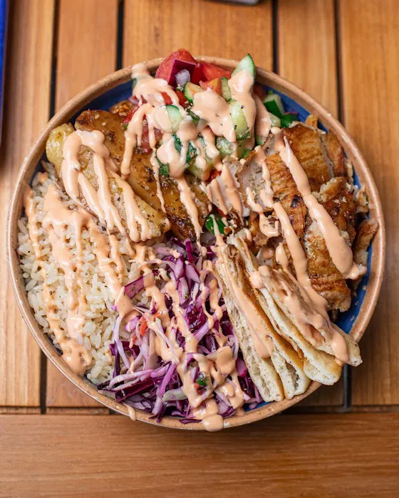 The Gyro Project Picture 9