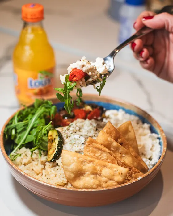 The Gyro Project Picture 6