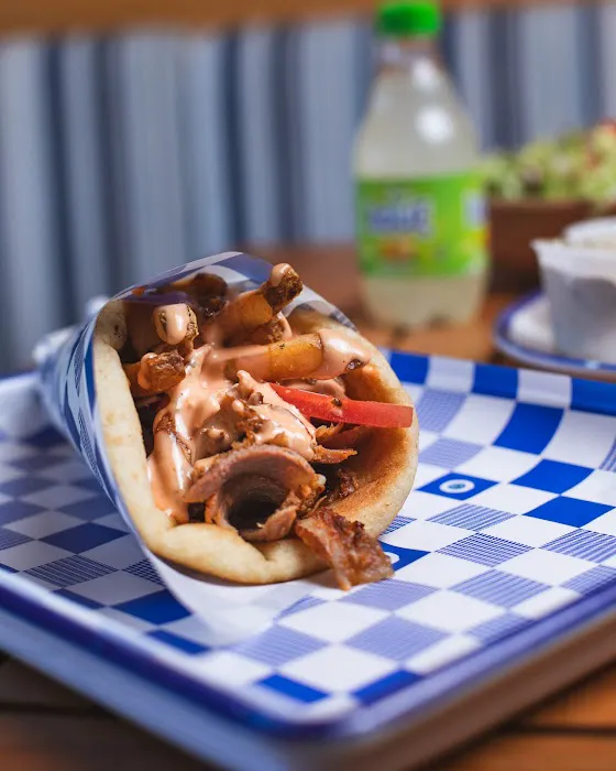 The Gyro Project Picture 7