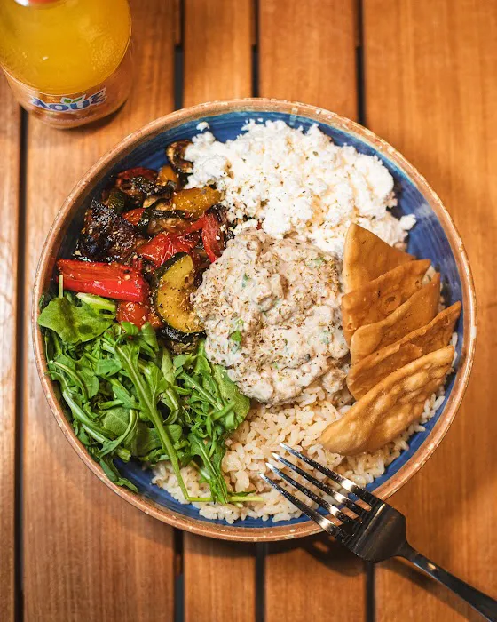 The Gyro Project Picture 4