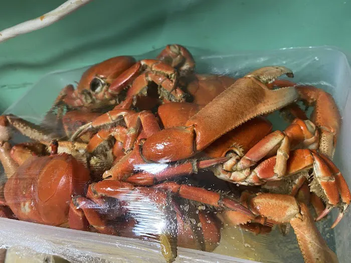 Mirka Grill & Coffee Picture 2