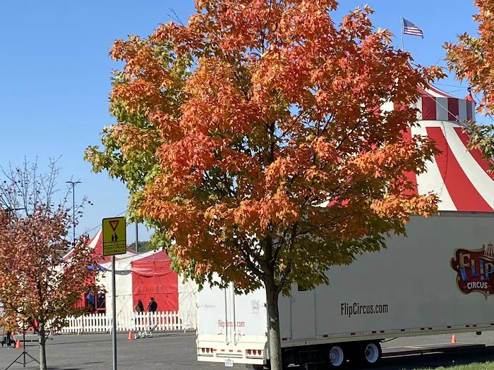 Crown Fried Chicken Picture 10