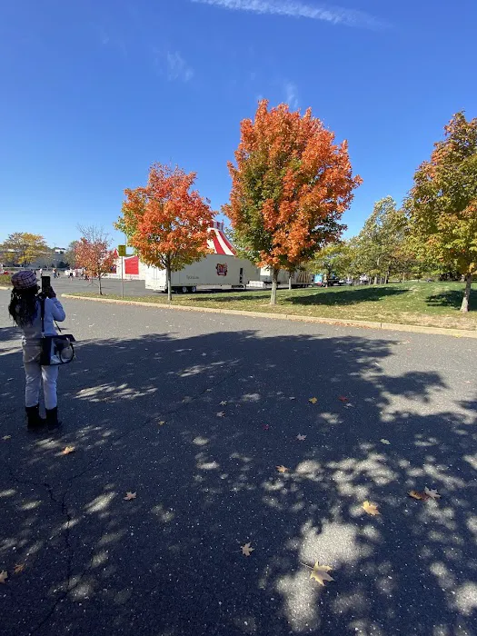 Crown Fried Chicken Picture 9