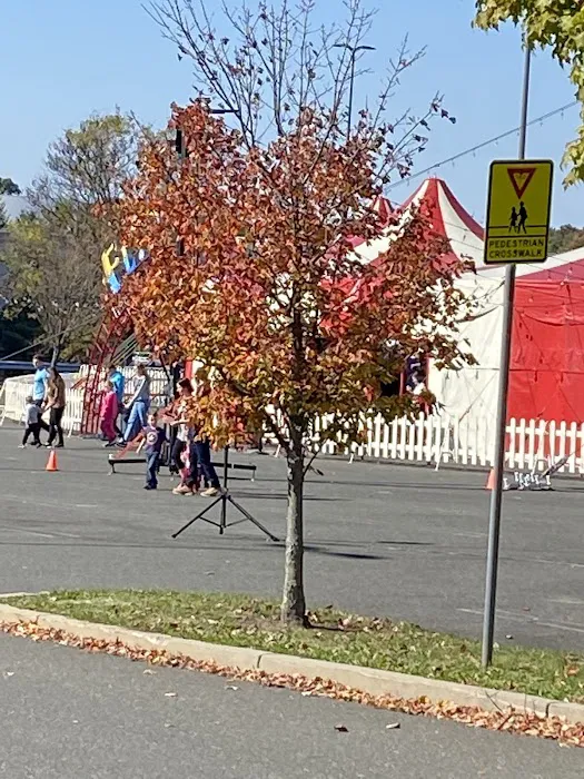 Crown Fried Chicken Picture 5