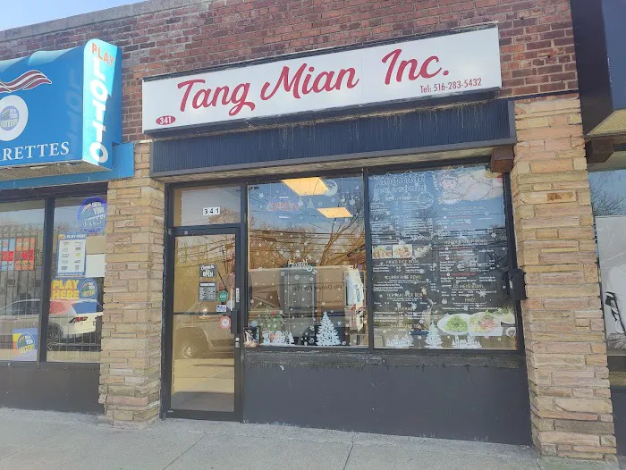 TangMian Rice & Noodle Bowl Picture 5