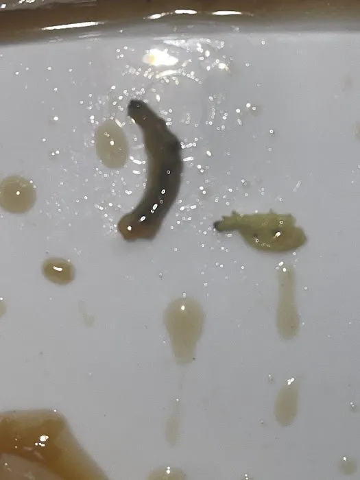 Mei Ho kitchen Picture 8