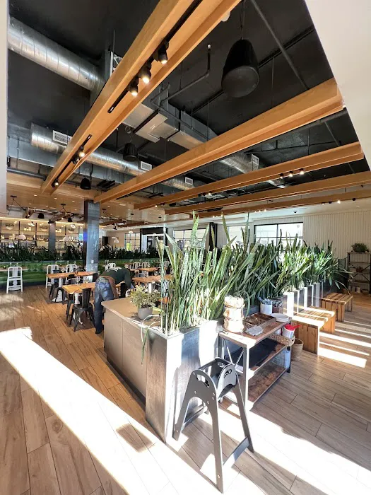 True Food Kitchen Picture 6