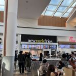 New York Fries Roosevelt Field