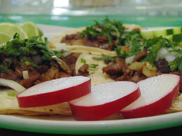 Los Potrillos Picture 3