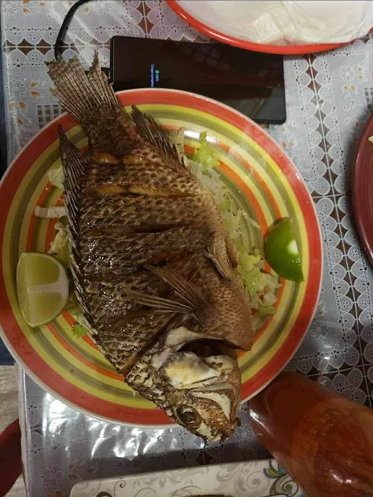 El Rey De Oros Picture 4