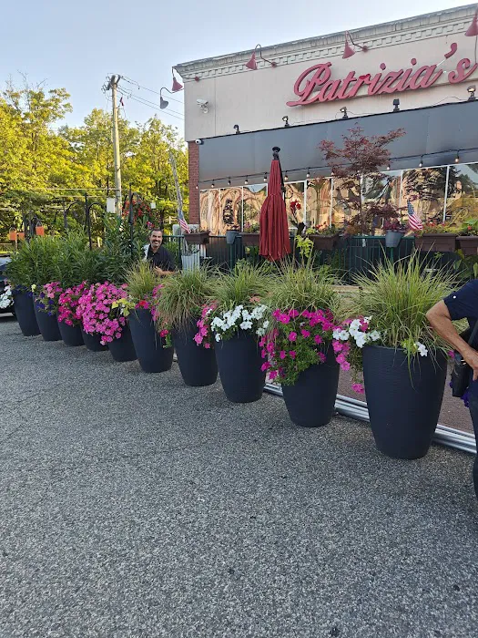 Patrizia's of Brooklyn Picture 10