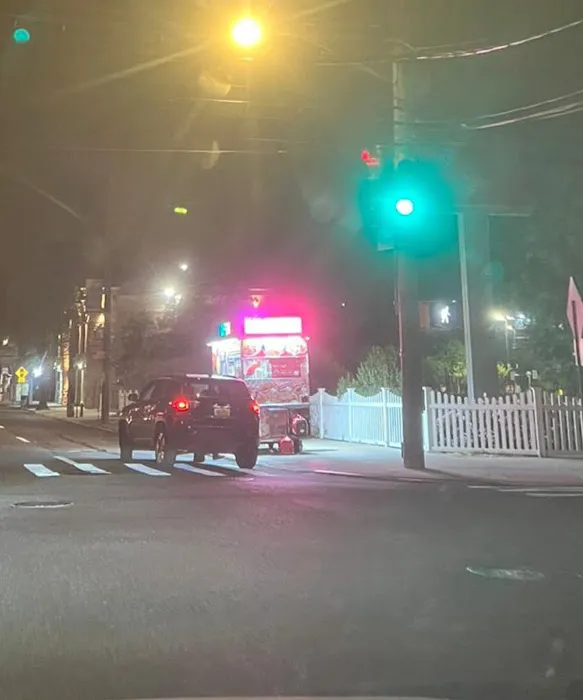 Halal Chicken Gyro Picture 1