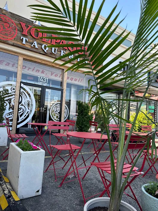 Yolpaqui Taqueria Picture 9