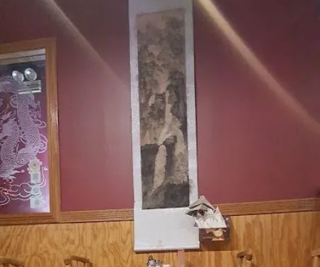 Precious Chinese Cuisine