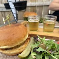 Seven Lakes Station ico