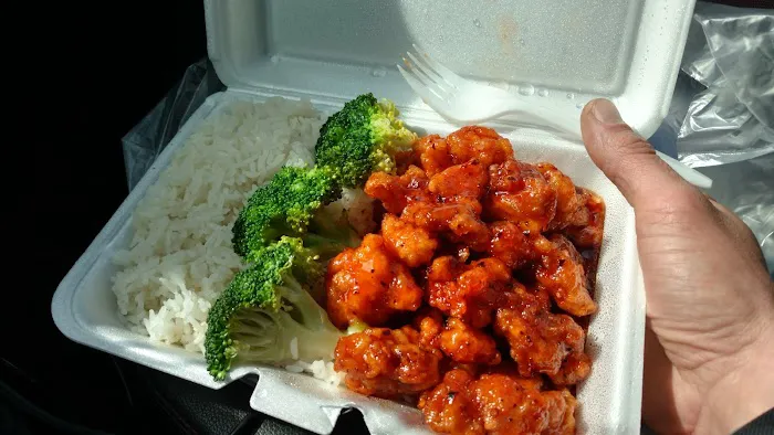 Hunan Garden Picture 6