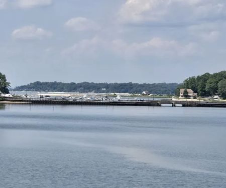 Mill Pond Steak & Seafood