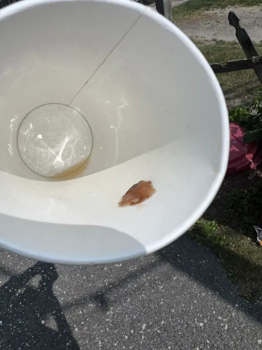 Jersey Mike's Subs Picture 6