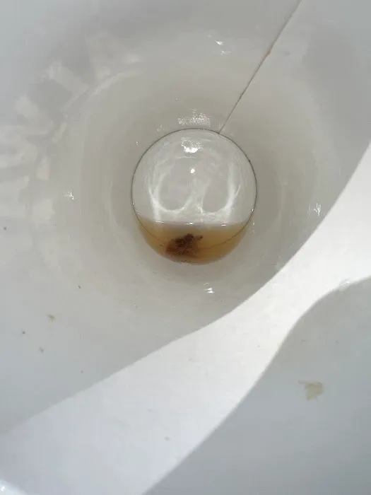 Jersey Mike's Subs Picture 2