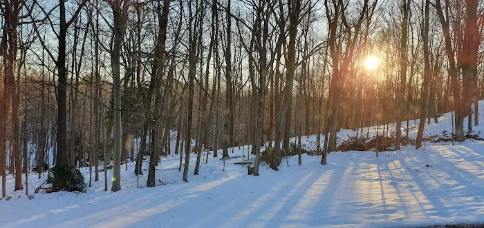 Blind Charlie's Cafe Picture 9