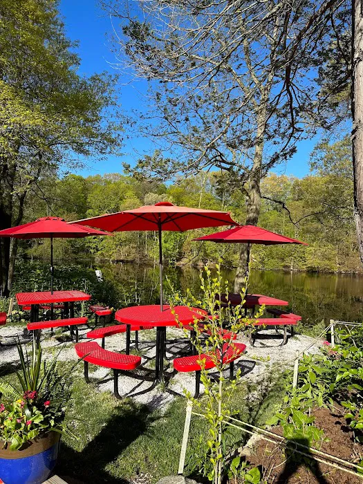 Lakeside Diner Picture 8