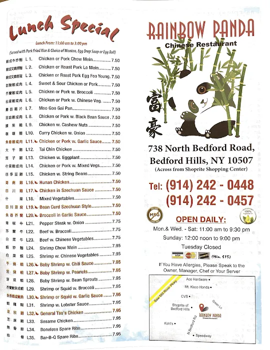 Rainbow Panda Picture 4