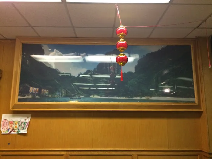 Rainbow Panda Picture 7