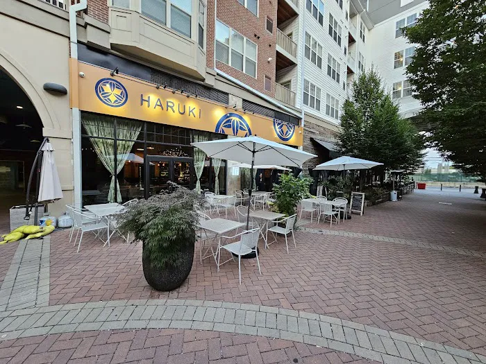 Haruki Ramen & Izakaya Picture 7