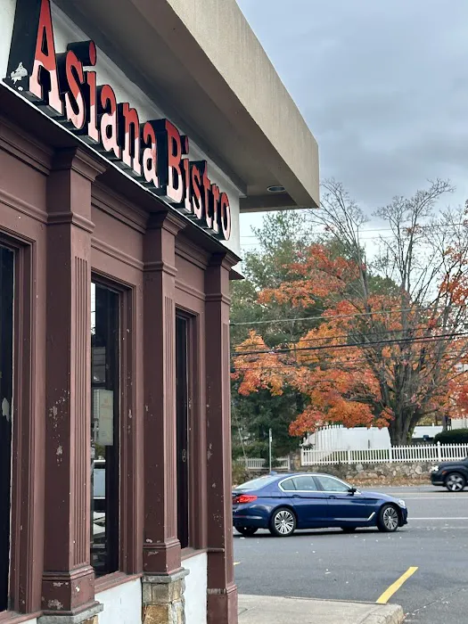 Asiana Bistro Picture 4