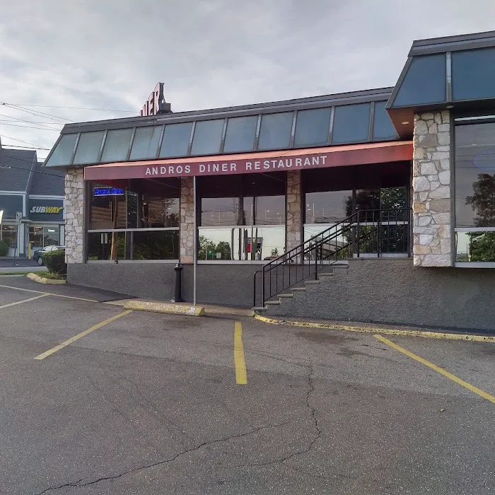 Andros Diner Picture 7