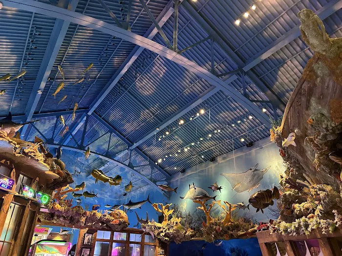 Uncle Buck's Fish Bowl and Grill Picture 9