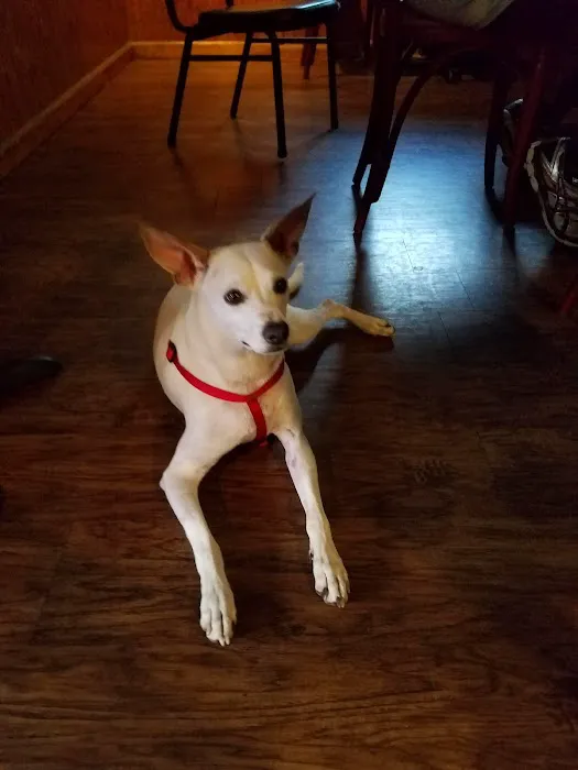 Oley And Chuck's Bar & Grill Picture 4