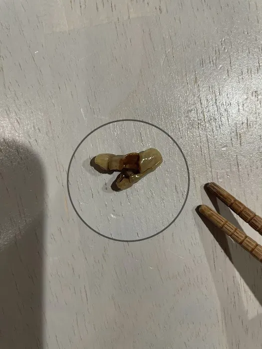 Oriental Palace Picture 3