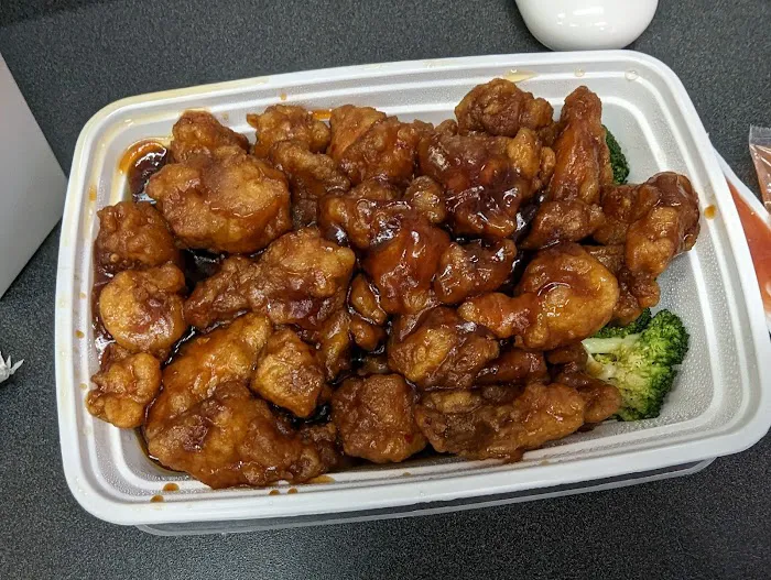 No 1 Chinese Restaurant(peekskill) Picture 10