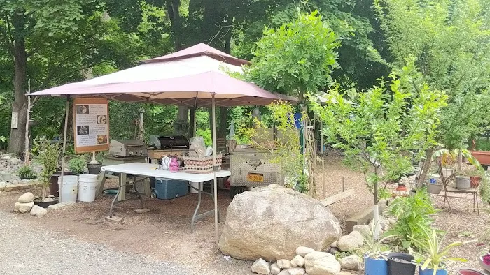 S&C Food Cart Picture 4