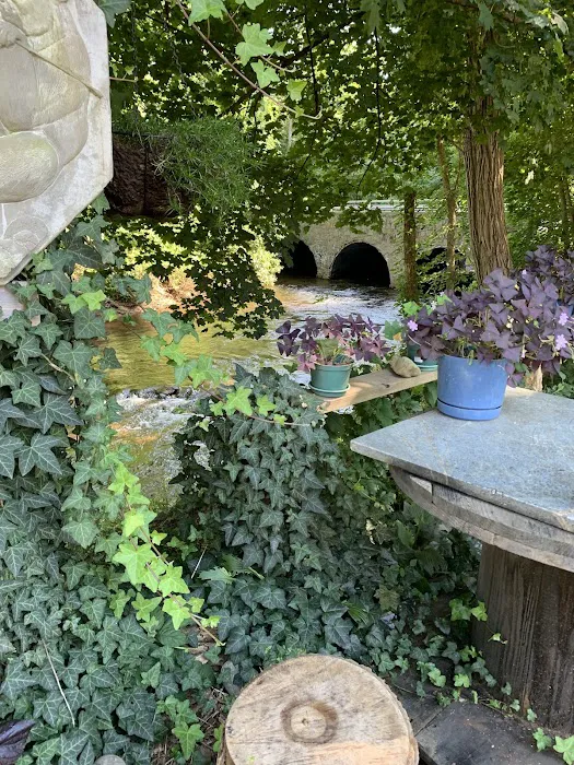 S&C Food Cart Picture 10