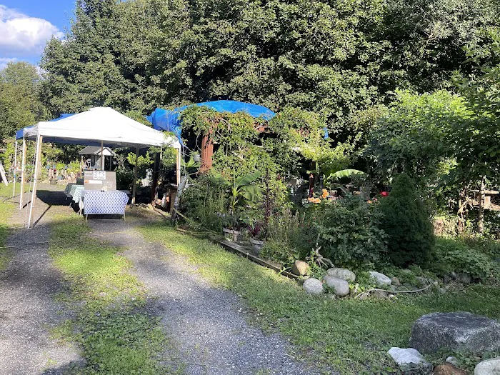 S&C Food Cart Picture 7