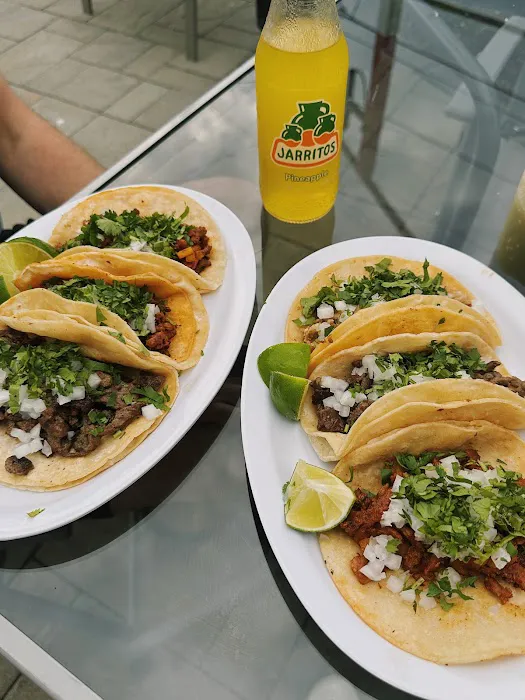 Taqueria MX Picture 6