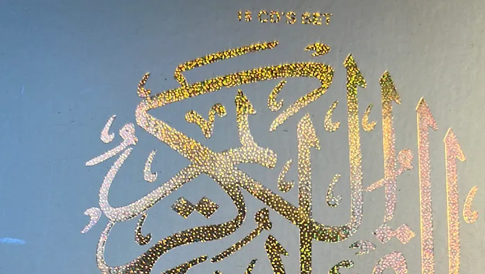 King Wings Picture 4