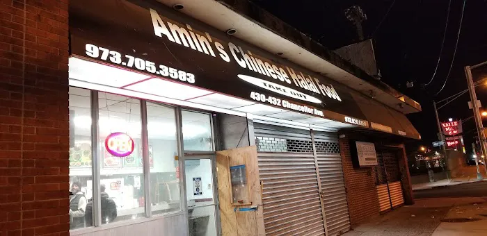 Amin's Chinese Halal Food Picture 8