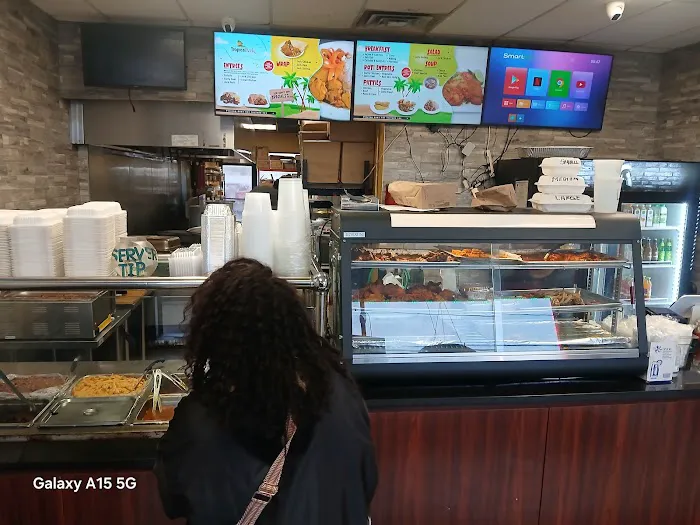 Tropical Jerk Roosevelt Picture 8