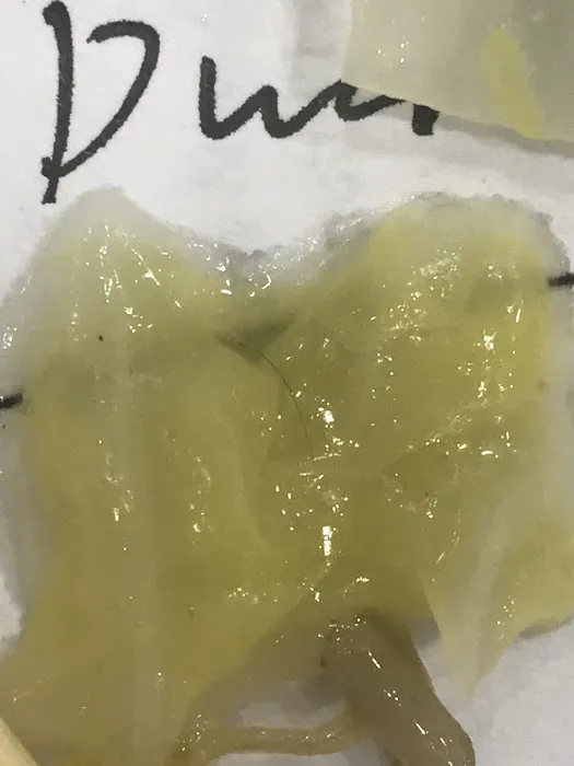 Golden Flower Kitchen Inc Picture 2